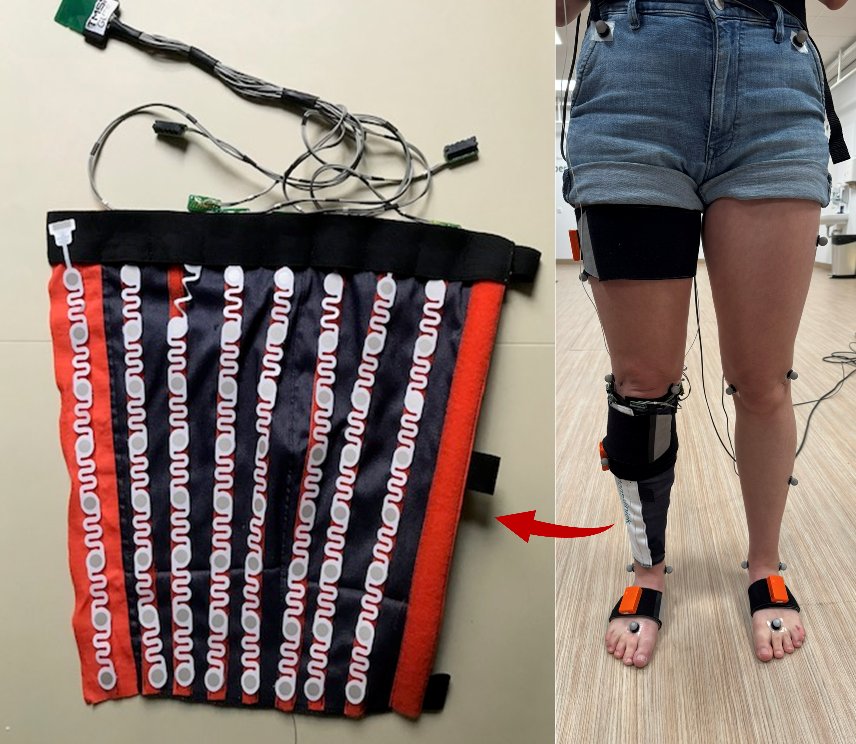 Myostride Sok En Markers En Sensoren