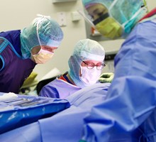 Opleidingen En Stages