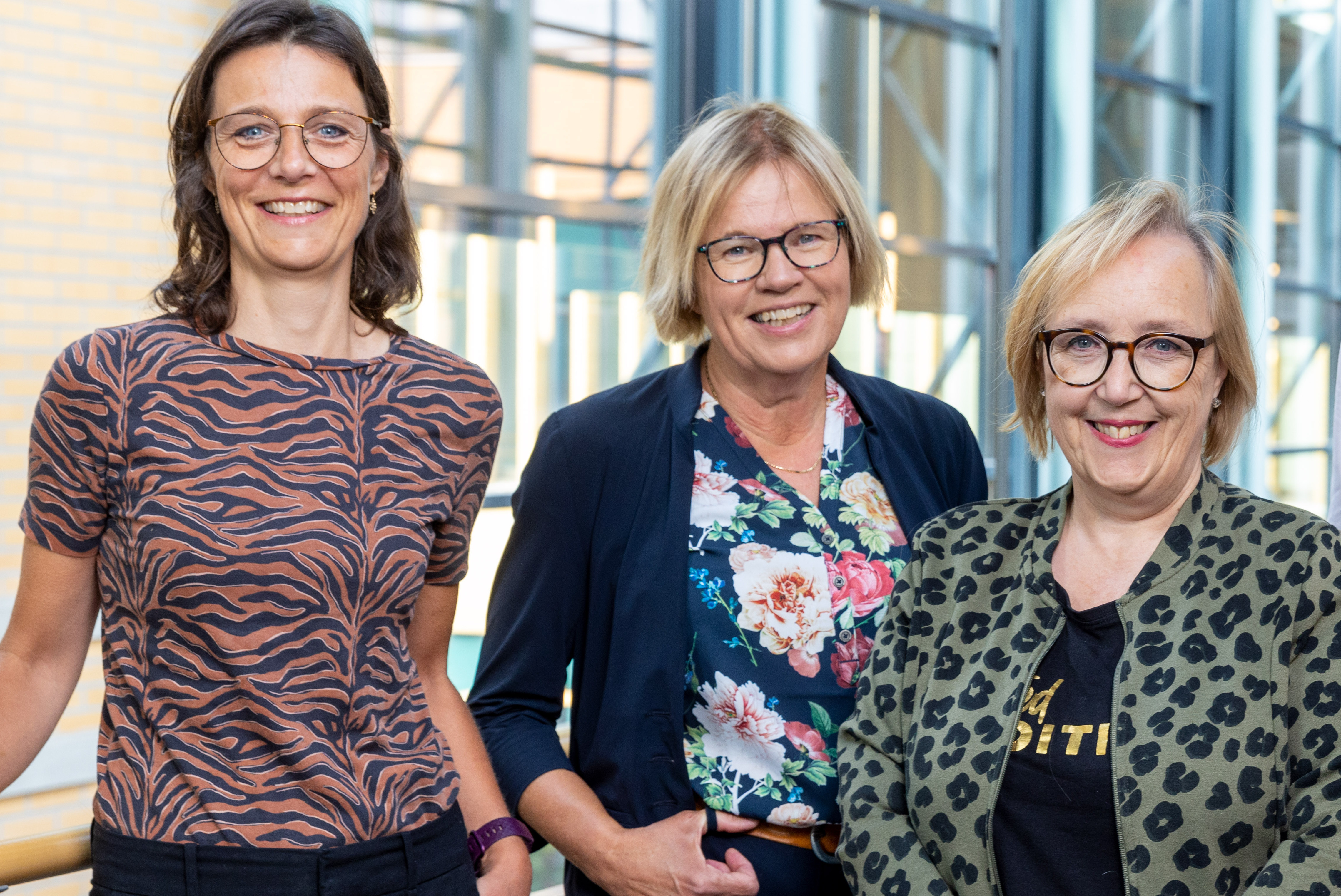 P 31 Achter De Schermen Website