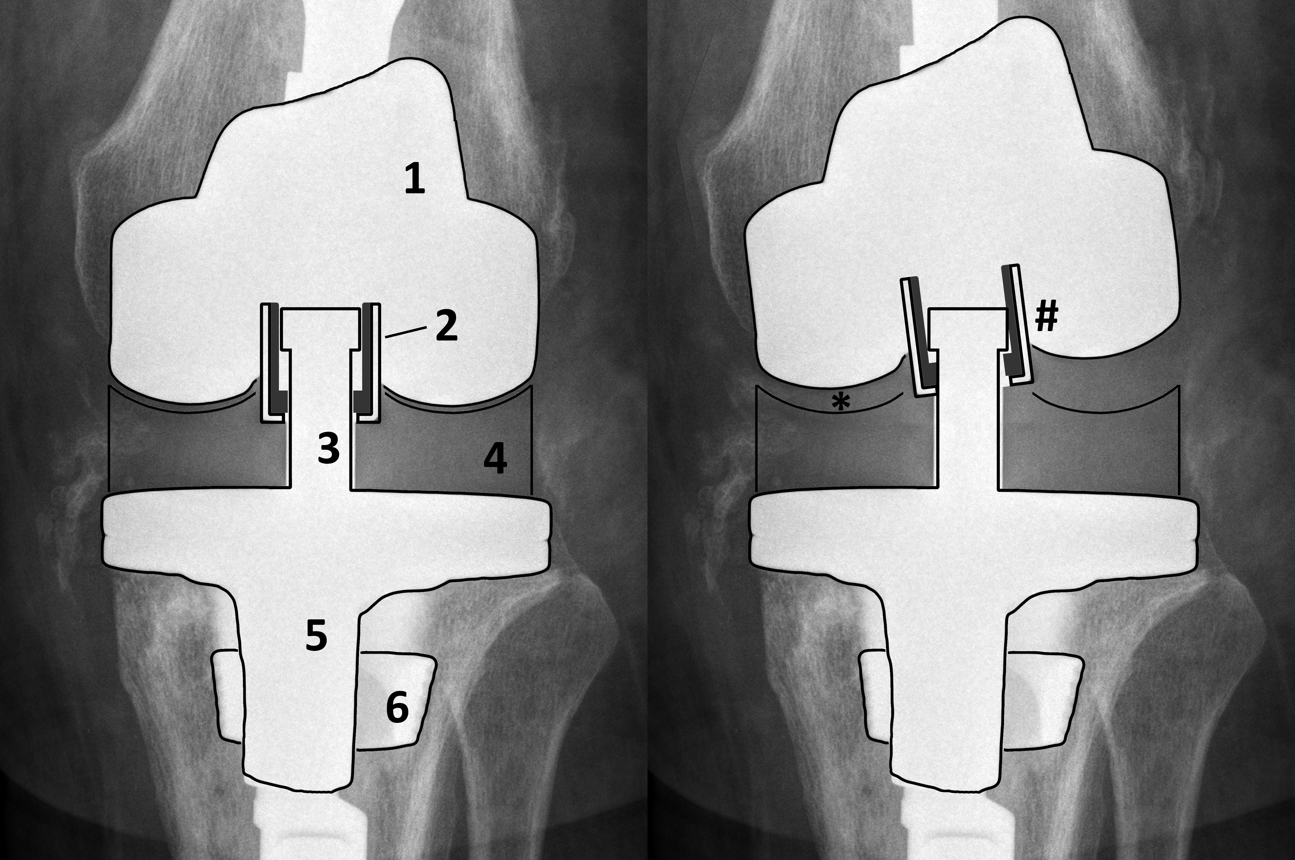 Website Simon Chapter 7 Fig 1