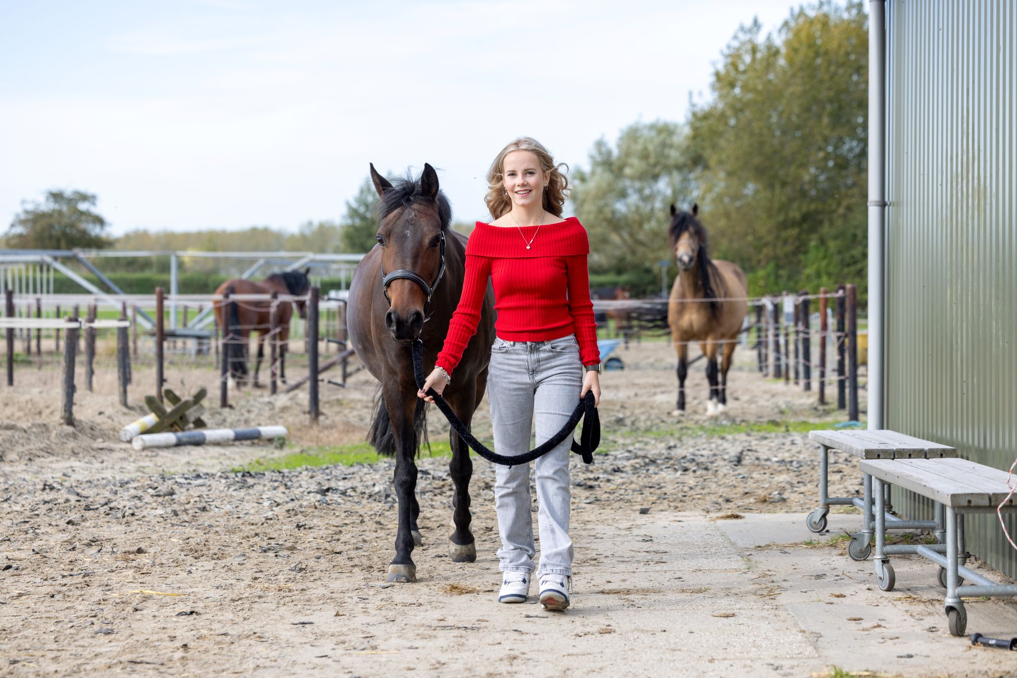 RGF241016 1855 Klein