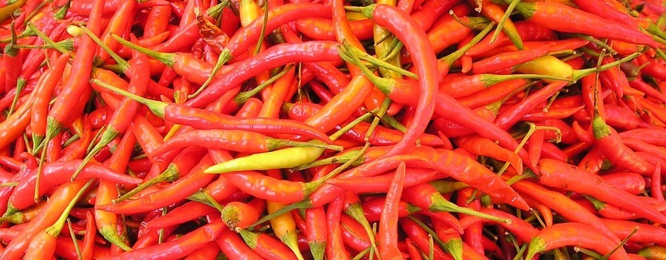 Chilli Pepper Header